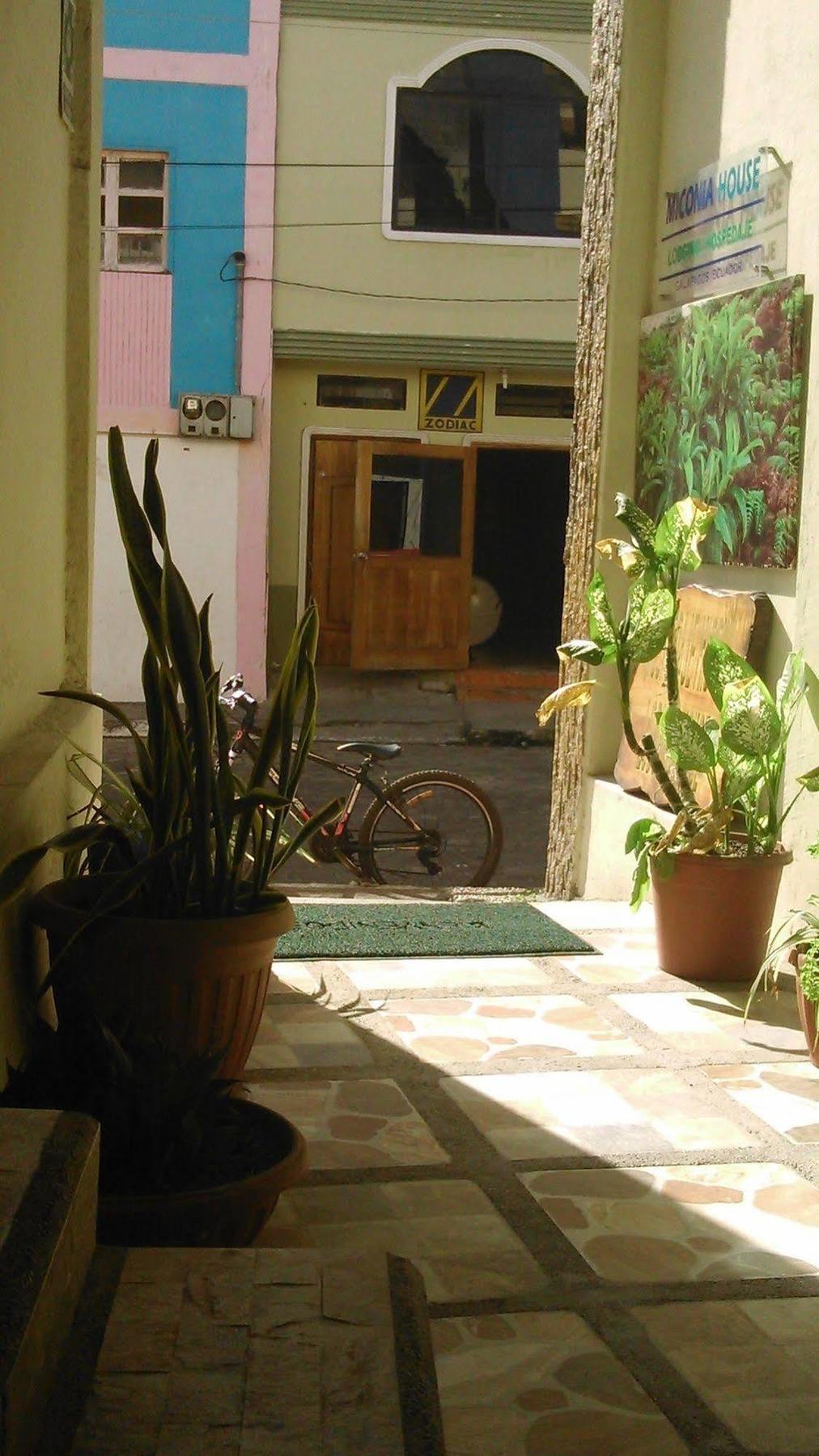 Hostal Miconia Puerto Ayora  Dış mekan fotoğraf