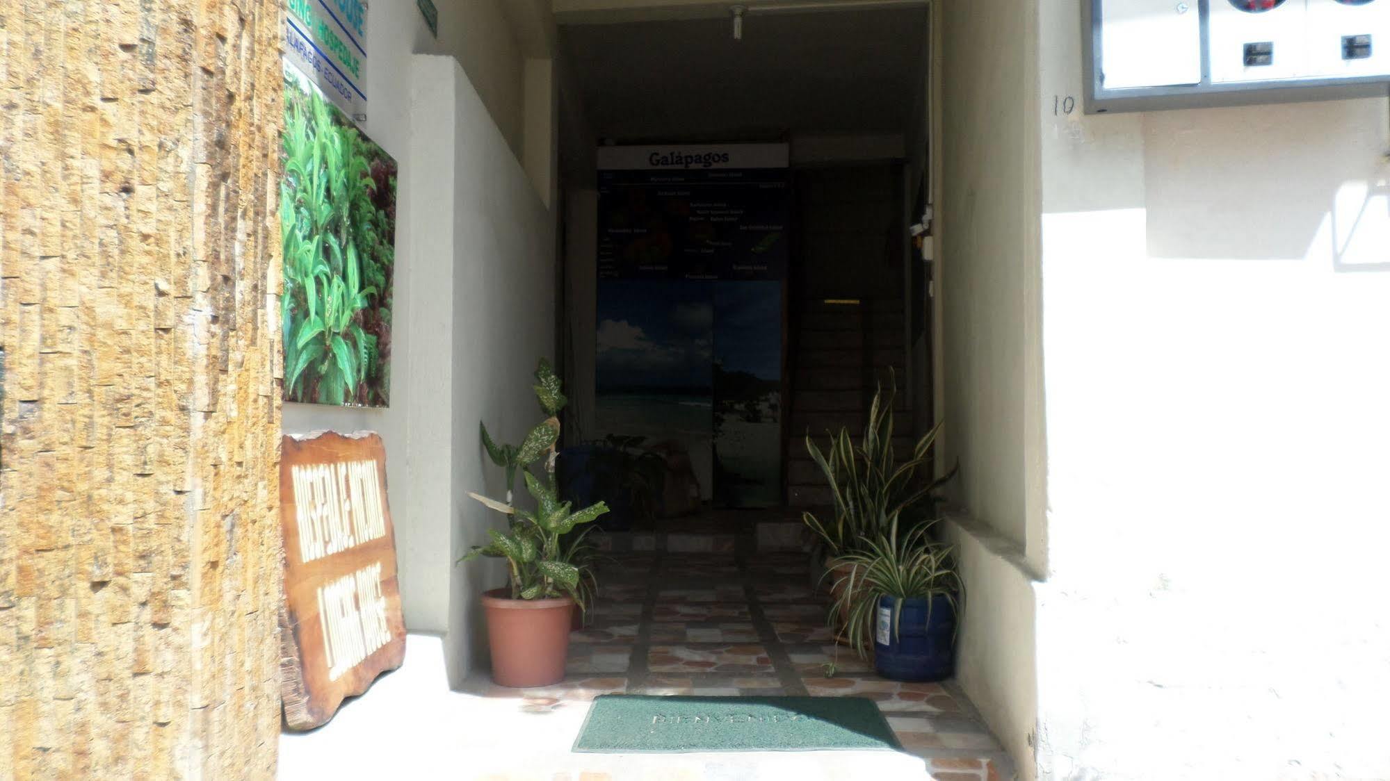 Hostal Miconia Puerto Ayora  Dış mekan fotoğraf